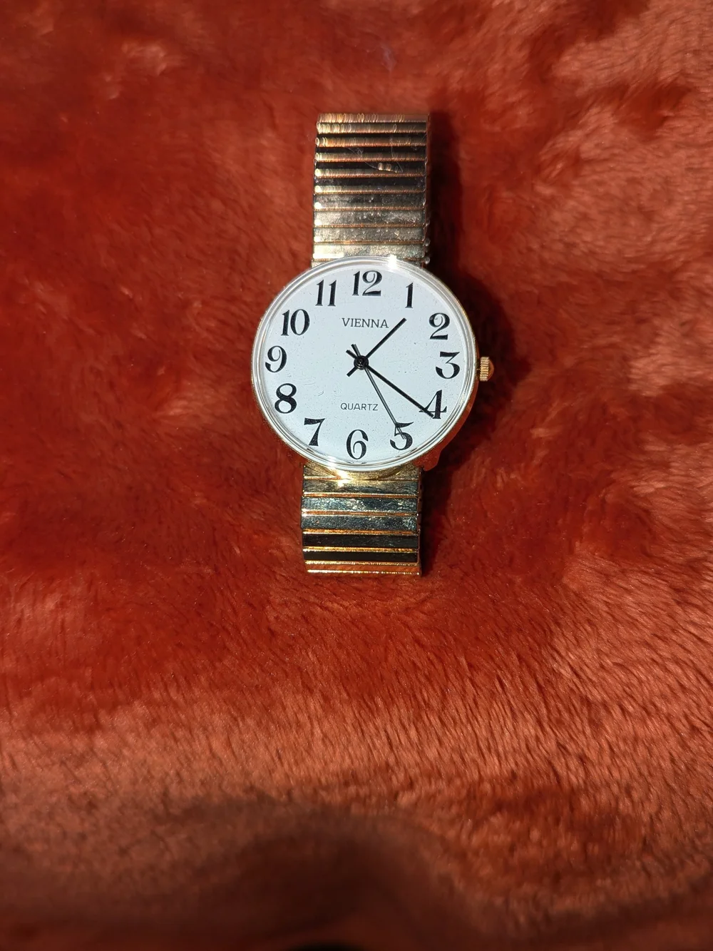 Men's Vienna Gold-Tone Quartz Watch with White Dial